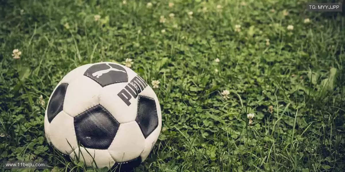 🏆官方正品,解锁你的运动潮流!🎁